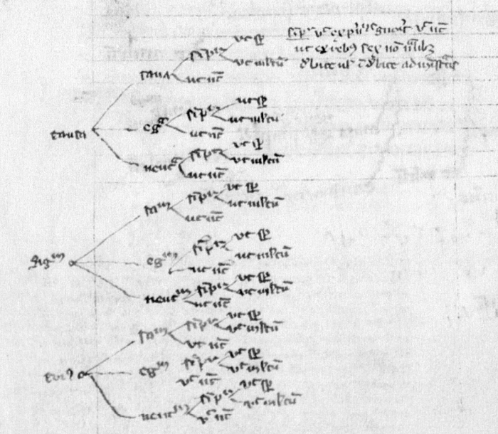 Example HT. BnF Lat. 16174 fol. 116r